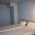 Отель Ibis Budget Lyon 2*